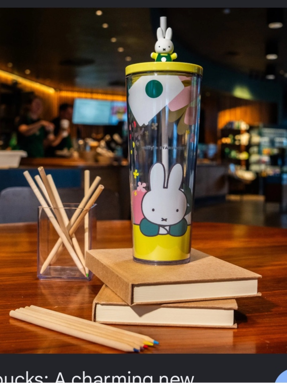 NWT Miffy x Starbucks Exclusive 24oz Cold Cup